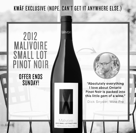 Malivoire 2012 Small Lot Pinot Noir
